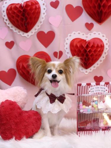 20240217ロゼちゃん